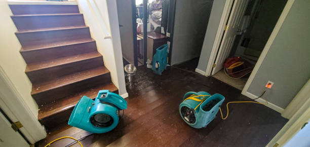 Best Local water damage restoration  in Live Oak, TX