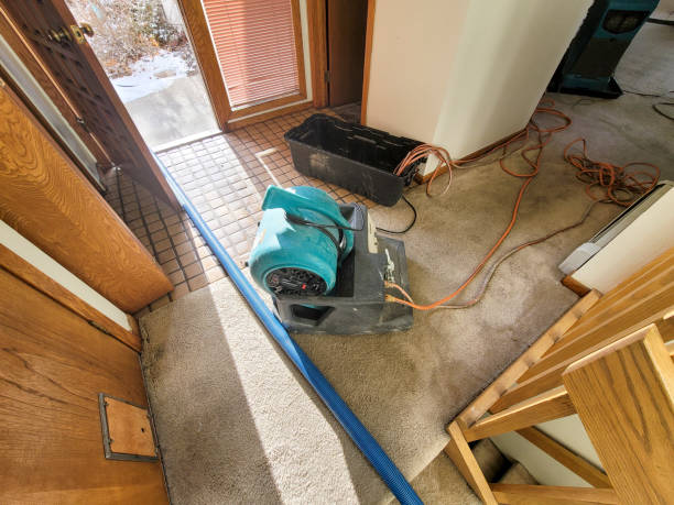  Live Oak, TX Water damage restoration Pros