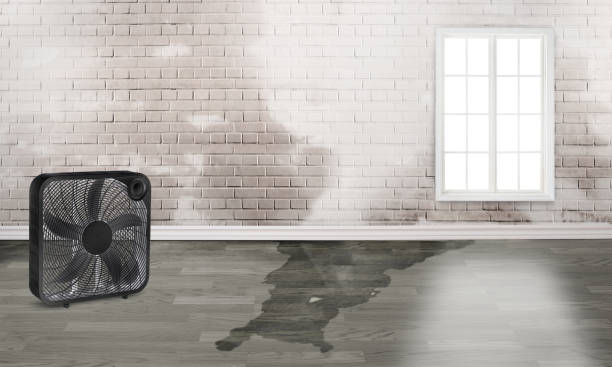 Water damage restoration insurance claims in Live Oak, TX