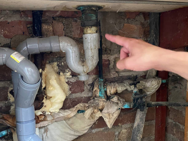 Best Fire Damage Restoration  in Live Oak, TX