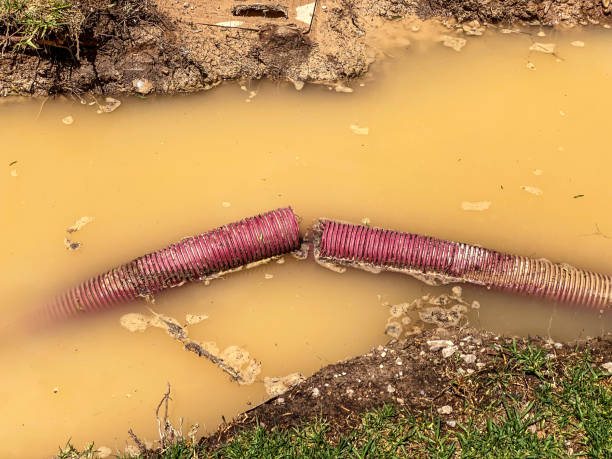 Live Oak, TX Water damage restoration Company