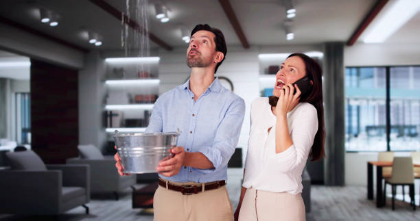Best Flood restoration services  in Live Oak, TX